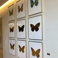 9 framed artistic images of different color butterflies