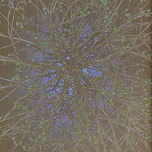 still image from a video projection of a tree